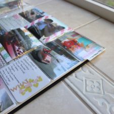 Project Life | February Update